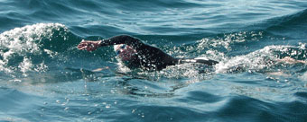 Taupo Swim